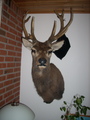 dscn2396.jpg