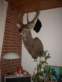 dscn2397.jpg